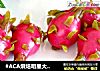 #ACA烘焙明星大赛# 迷你火龙果【象形甜点】的做法