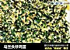 马兰头炒鸡蛋的做法