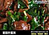 面筋炒韭菜的做法