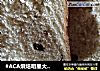 #ACA烘焙明星大赛#全麦松软大吐司的做法