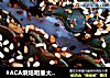 #ACA烘焙明星大赛# 烤海带串的做法