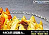 #ACA烘焙明星大赛#免炸宫廷荷花酥的做法