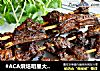 #ACA烘焙明星大赛#香草烤羊腩肉串的做法