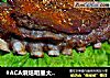 #ACA烘焙明星大赛#孜然烤羊排的做法