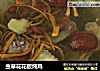虫草花花胶炖鸡的做法
