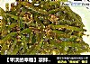 【平淡的幸福】凉拌青笋的做法
