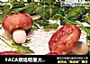 #ACA烘焙明星大赛#香菇豆沙包的做法