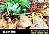 爱上水煮鱼的做法