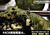 艾糍的做法