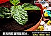 奥利奥蔓越莓盆栽冰淇淋的做法