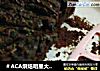 ＃ACA烘焙明星大赛＃可可杏仁蛋糕的做法