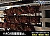 ＃ACA烘焙明星大赛＃烤羊肉串的做法