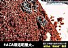 #ACA烘焙明星大赛#巧克力布朗尼的做法
