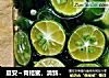 夏安～青桔蜜，清新甜美的味道的做法