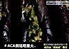 ＃ACA烘焙明星大赛＃蒜茄子的做法