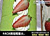 #ACA烘培明星大赛#菠菜瑞士卷的做法