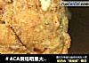＃ACA烘焙明星大赛＃核桃小西饼的做法