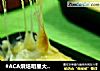 #ACA烘焙明星大赛#芝士焗薯泥DIY的做法