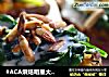 #ACA烘焙明星大赛#风味烤红薯的做法