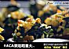 #ACA烘焙明星大赛#菠菜奶酪烤香菇的做法