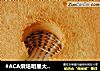 #ACA烘焙明星大赛#香草海绵蛋糕的做法