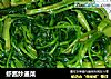 虾酱炒通菜的做法