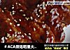 ＃ACA烘焙明星大赛＃腐乳烤鸡翅的做法