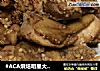 #ACA烘焙明星大赛#烤鸡胸肉的做法