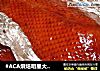 #ACA烘焙明星大赛#脆皮烤鸭的做法