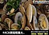 #ACA烘焙明星大赛#烤花蛤的做法