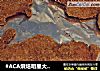 #ACA烘焙明星大赛#烤猪排的做法