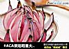 #ACA烘焙明星大赛#烤洋葱花的做法