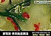 家常菜-昂刺鱼豆腐汤的做法
