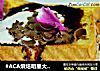 #ACA烘焙明星大赛#巧克力西多士的做法