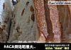 #ACA烘焙明星大赛#可拉丝的葡萄干土司的做法