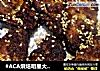 #ACA烘焙明星大赛#芝麻烤鸡翅 -的做法