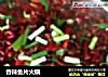 香辣鱼片火锅的做法