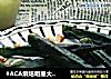#ACA烘焙明星大赛#盐烤秋葵的做法