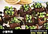 小葱牛排的做法