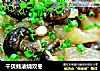 干贝蚝油烧双冬的做法