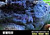 紫薯玛芬的做法