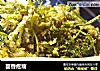 茴香疙瘩的做法