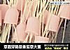 意面穿肠版番茄意大面的做法