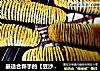 最适合新手的【豆沙毛毛虫面包】的做法