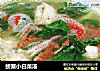 螃蟹小白菜汤的做法
