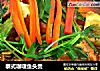 泰式咖喱鱼头煲的做法