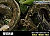 青椒黄鳝的做法