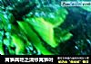 莴笋两吃之清炒莴笋叶的做法