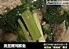 臭豆腐炖鲫鱼的做法