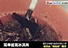 简单盆栽冰淇淋的做法